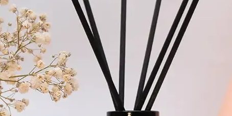 Jasmine Reed Diffuser with the Captivating Aroma of the Blooming Jasmine Flowers