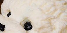 Puppy Candle – Puppy Face Inspired