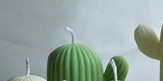 Cactus Candles