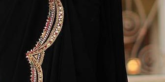 The Ethnic Sari