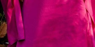 Magenta Berry
