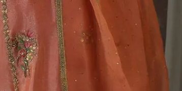 Peach Zari Long Full Set