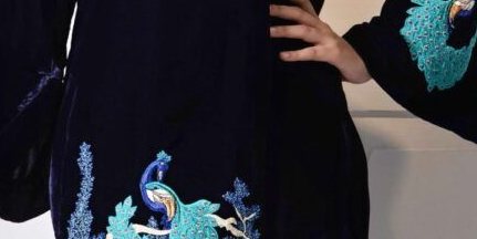 Xyrene Navy Blue Velvet