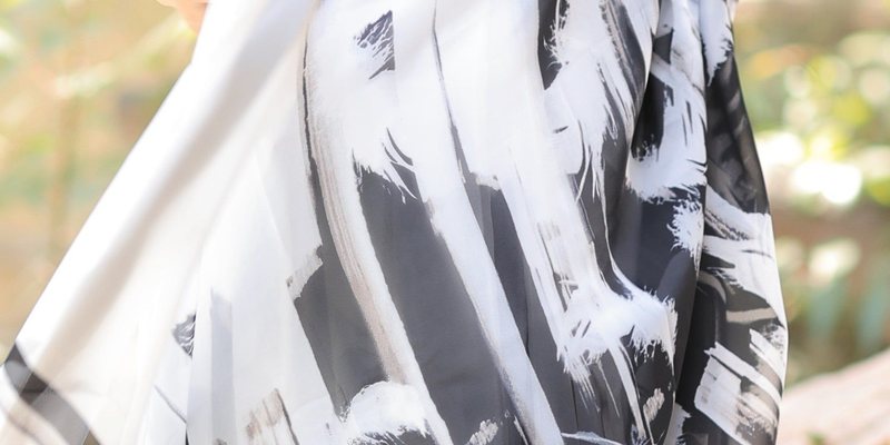 Monochrome Muse Saree