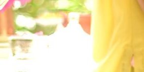 The Lemonade Set