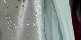 Stellaria In Tissue Organza With Dupata And Pants